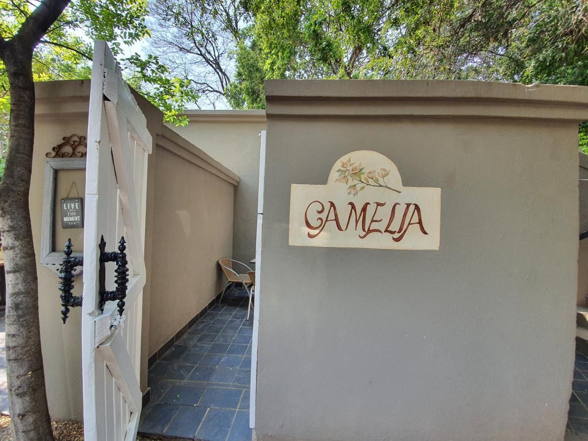 Waterhouse Guest Lodge In Muckleneuk Pretoria-Noord Cameră foto
